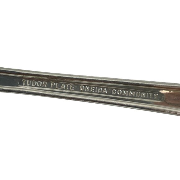 Bridal Wreath VTG 50s Oneida Tudor Plate Butter knife Jelly Spoon Set 7593 - Picture 6 of 6